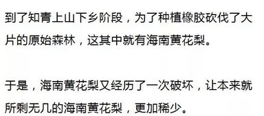 三、  社会互动中的利益博弈与“靠近”者的动机分析