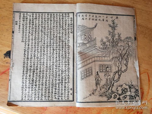 注意：以下案例均为虚构，仅供参考；若遇实际情况，请咨询专业讼师或命理师。