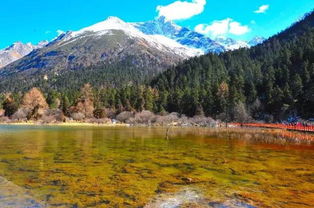 Day4：莲宝叶则震撼之旅（高海拔挑战）