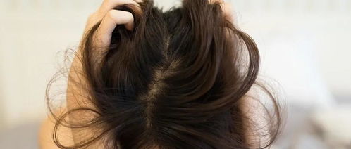 2026年2月有哪些吉日适合剪头发？