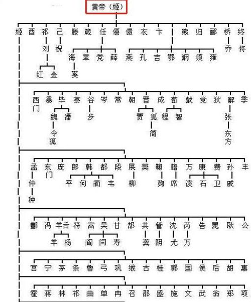 姓氏的由来：从远古到现代