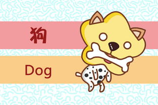 1982年属狗女性一生中桃花运最旺的年份是哪一年？