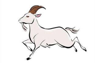 属羊男和属鸡女结婚配对是否适宜？