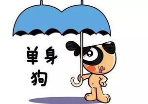 单身狗们注意了！