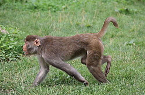 别让烂大街的名字毁了孩子的未来