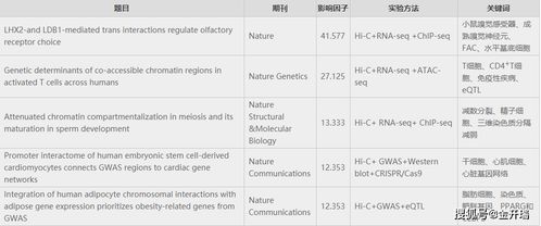 张润泽名字打分测试2026年结果如何？