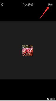 2.2 风水方位与十二生肖的契合度分析