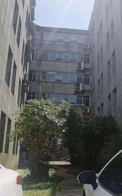 真实相较大白：为哪些总是被坑又持续坑下去呢？！