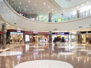 四、 照明色彩与装饰品的运用：营造舒适和谐的购物氛围