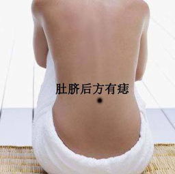 腰部体相——承上启下之关键部位