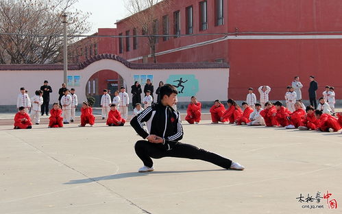 这个太极拳节目表演名称简直太惊艳了有没有什么类似的节目推荐呢？