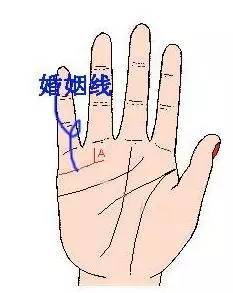 （二）婚姻线下垂：情感疏离与责任缺失的预警