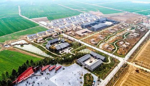 第二站：白洋淀的水里到底藏着多少秘密?