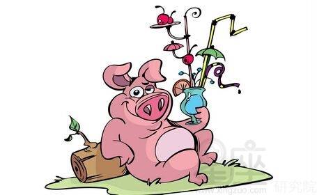 2026年属猪人的财运如何，这一年财运是不是会很旺？