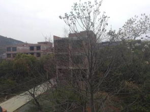 住房后面水沟的风水讲究有哪些注意事项？