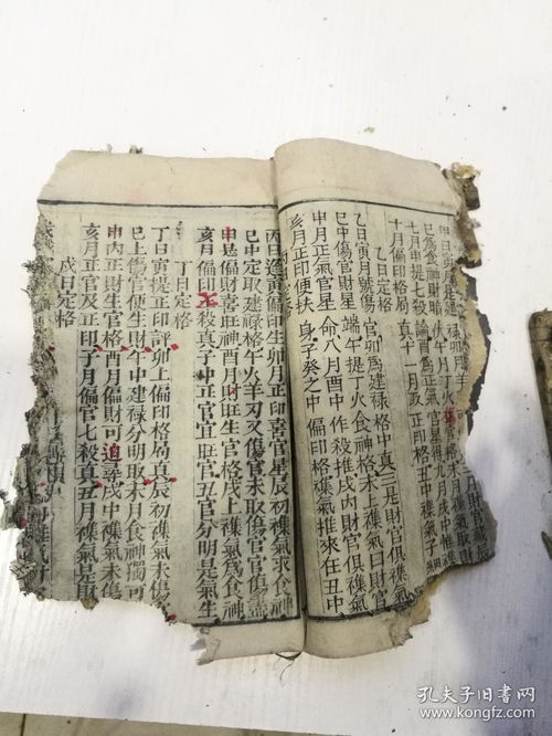 一、 作者张楠（号神峰子）及其著作概述
