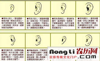 步调迟缓者：沉稳务实的基石与事业之道的体现