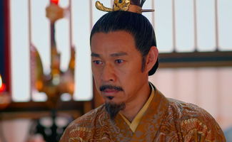 4. 其他皇子的命运概述