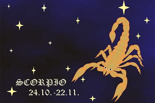 2026年5月天蝎座的健康运势如何？