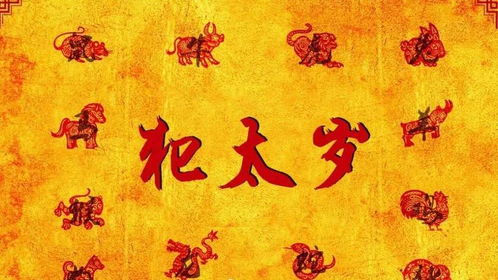 一、 命理属性的综合分析
