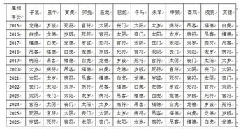 男命中代表妻子的神煞具体指的是哪一种神煞？