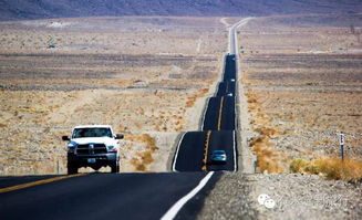 终于堪到了高阳的牌子