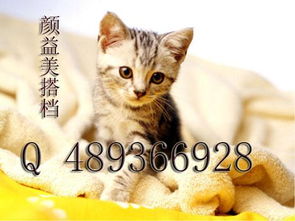 三、  红色地毡的采用需谨慎