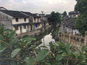 绍兴夫妻山东深度游：一场说走就走的“灾难”