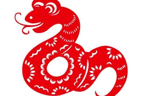 82年属狗人2026年蛇年运势如何，全年运势意味着什么？