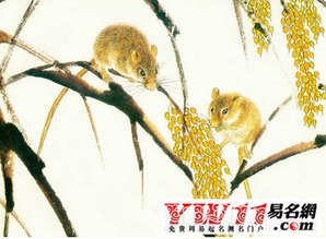 2017年属鼠人冬天运势怎么样？