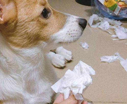 一、 先别急着写名单，先把脑袋装满黑色的氛围