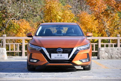 东师父工作室语录：宽容大度格局高远！（真的吗？）