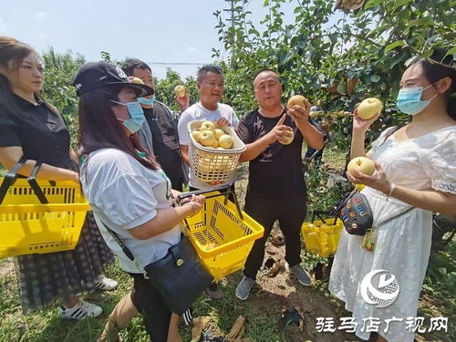 3）悲壮与浪漫混搭