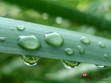 聪慧与物质追求的反思