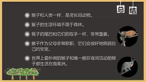 四、科学研究虚假说与实证探究需求