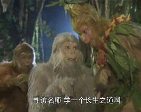 属猴人2026年五大预言和五大生活指引具体内容是什么？