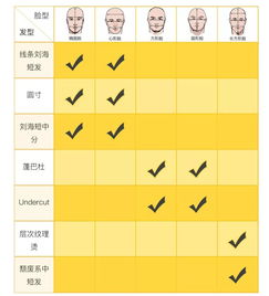 实践工具与软件应用