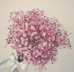 十二星座分别对应哪种花的花花是什么？