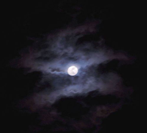 一、 序言：夜色与谜影的交织