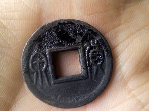 1. 贝类作为最早期实物货币之根基