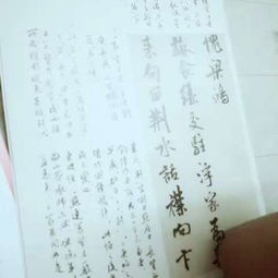 竺姓的历史沿革与文化内涵