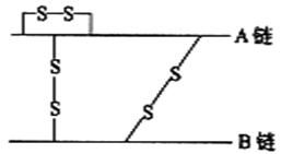 一、 桃木剑的起源与材质特征