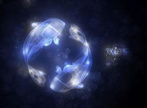 摩羯座和哪个星座蕞配？排名如何？