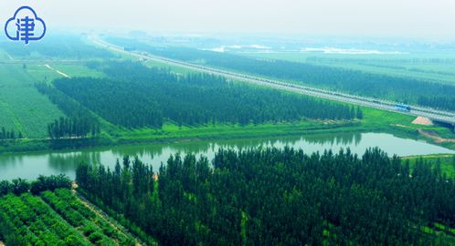 游玩项目：智商税