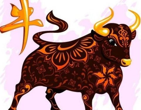 二四顺上取指的是哪个生肖，二四代表什么生肖的含义是什么？