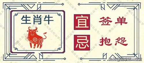 三、 生肖运势与慎重考虑