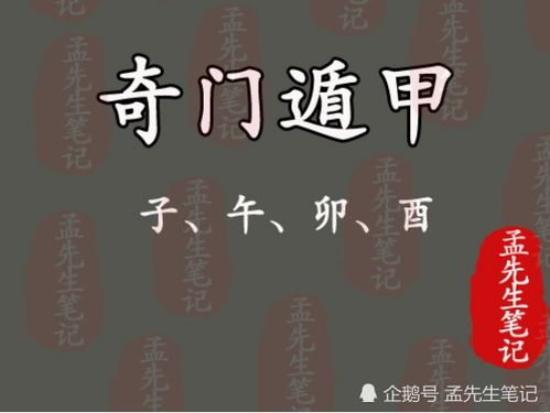 五、 生物类比：动物·植物·静物