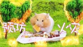 2.2 风水布局对心理状态的间接影响