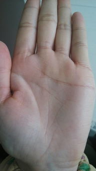 如何识别手相中最好的手相特征？