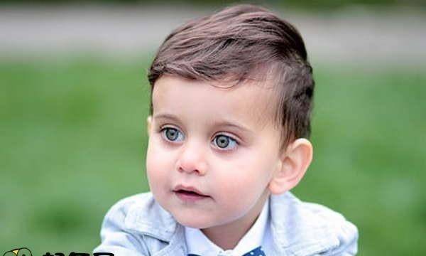 2026年猪宝宝男孩名字大全中，有没有文雅的猪年男孩名字推荐？